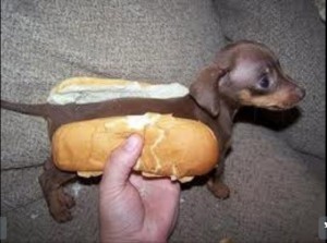 20-animals-who-are-now-scarred-for-life-15