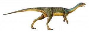 チリサウルス