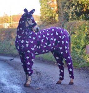 horse-onesie