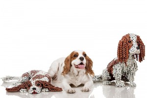 Max-Maxine-and-a-friend