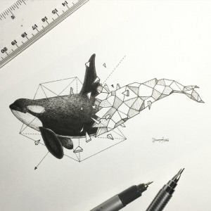 geoorca