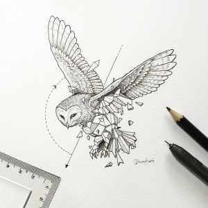 geoowl